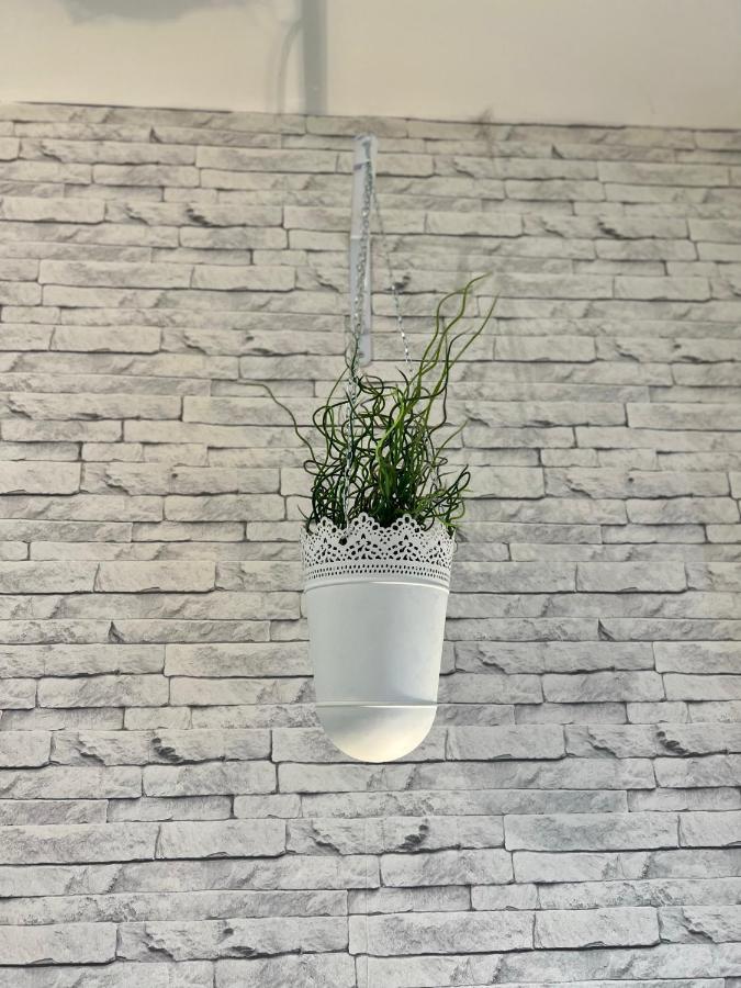 Le Clos Chassaing N1 - Wifi - Centre Ville-Property Rental Nm Perigueux Ngoại thất bức ảnh